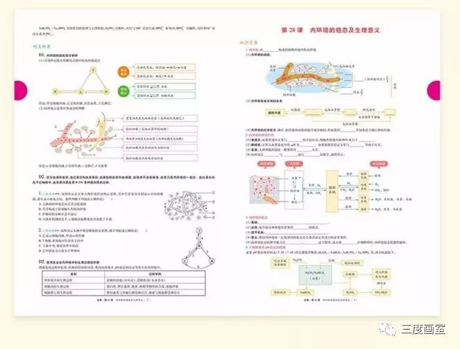 全新集结！中班语言教学方案宝典大全，全方位教案攻略一览无遗